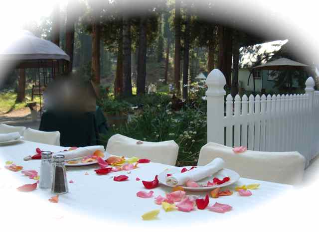 recept_table_11