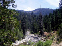 shasta waters