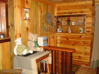 bear2