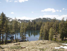 shasta lakes