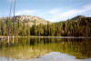 Mumbo Lake with several tall bare snag trees on the left of photo.  In the shallow lake water, wood debris and small rocks can be seen.  The far shore is tree lined with rounded mountains behind.  All of this and blue sky are reflected in the quiet lake waters